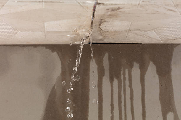 Professional Water Damage Repair technician working in Beasley, TX